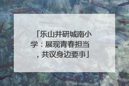 乐山井研城南小学：展现青春担当，共议身边要事