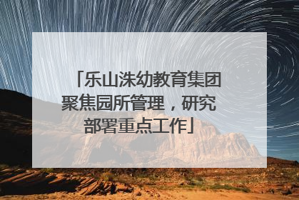 乐山洙幼教育集团聚焦园所管理，研究部署重点工作