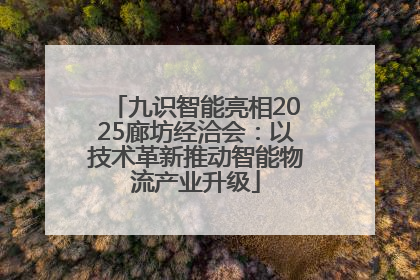 九识智能亮相2025廊坊经洽会：以技术革新推动智能物流产业升级