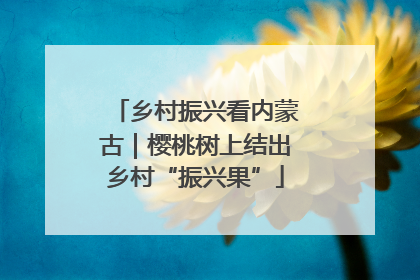 乡村振兴看内蒙古｜樱桃树上结出乡村“振兴果”