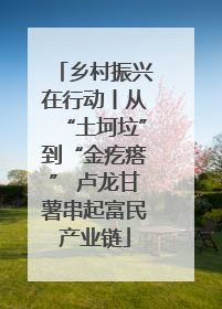 乡村振兴在行动丨从“土坷垃”到“金疙瘩” 卢龙甘薯串起富民产业链