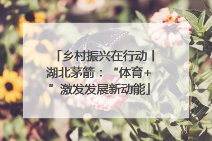 乡村振兴在行动丨湖北茅箭：“体育+”激发发展新动能