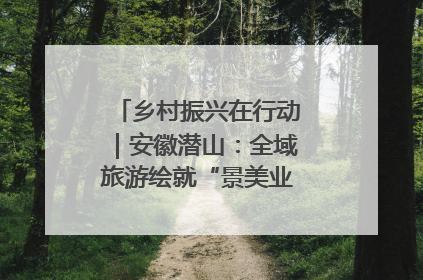 乡村振兴在行动｜安徽潜山：全域旅游绘就“景美业兴民富”新画卷