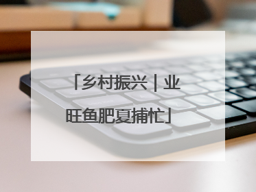 乡村振兴｜业旺鱼肥夏捕忙