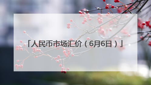 人民币市场汇价（6月6日）