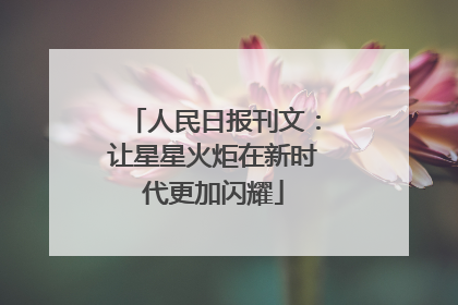 人民日报刊文：让星星火炬在新时代更加闪耀