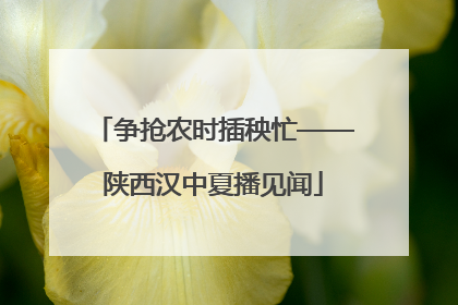 争抢农时插秧忙——陕西汉中夏播见闻