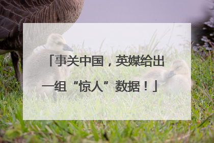 事关中国，英媒给出一组“惊人”数据！