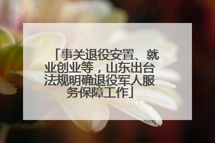 事关退役安置、就业创业等，山东出台法规明确退役军人服务保障工作