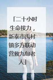 二十小时生命接力，新泰市禹村镇多方联动营救九旬老人