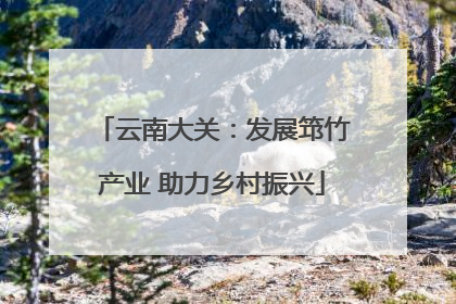 云南大关：发展筇竹产业 助力乡村振兴