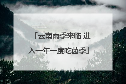 云南雨季来临 进入一年一度吃菌季