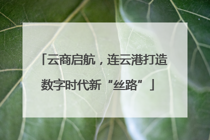 云商启航，连云港打造数字时代新“丝路”
