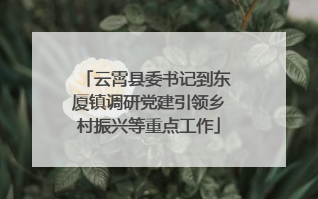 云霄县委书记到东厦镇调研党建引领乡村振兴等重点工作