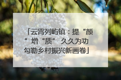 云霄列屿镇：提“颜”增“质” 久久为功勾勒乡村振兴新画卷