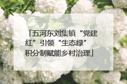 五河东刘集镇“党建红”引领“生态绿” 积分制赋能乡村治理