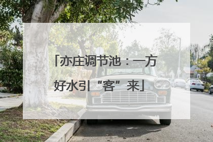 亦庄调节池：一方好水引“客”来