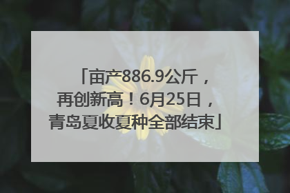 亩产886.9公斤，再创新高！6月25日，青岛夏收夏种全部结束