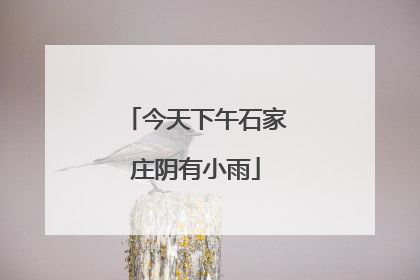 今天下午石家庄阴有小雨