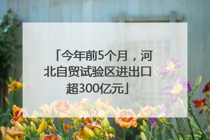 今年前5个月，河北自贸试验区进出口超300亿元