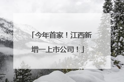 今年首家！江西新增一上市公司！