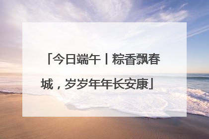 今日端午丨粽香飘春城，岁岁年年长安康