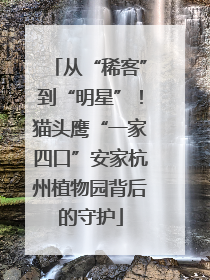 从“稀客”到“明星”！猫头鹰“一家四口”安家杭州植物园背后的守护