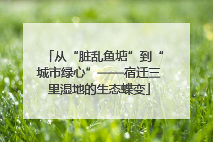 从“脏乱鱼塘”到“城市绿心”——宿迁三里湿地的生态蝶变