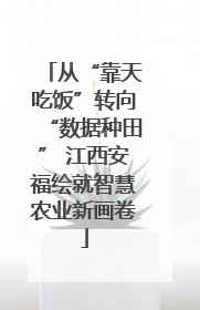 从“靠天吃饭”转向“数据种田” 江西安福绘就智慧农业新画卷