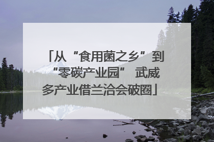 从“食用菌之乡”到“零碳产业园” 武威多产业借兰洽会破圈