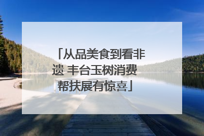 从品美食到看非遗 丰台玉树消费帮扶展有惊喜