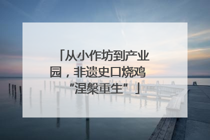 从小作坊到产业园，非遗史口烧鸡“涅槃重生”