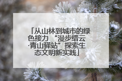 从山林到城市的绿色接力 “漫步缙云·青山驿站”探索生态文明新实践