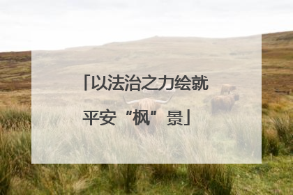 以法治之力绘就平安“枫”景
