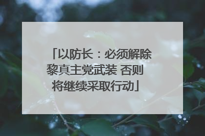 以防长：必须解除黎真主党武装 否则将继续采取行动
