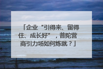 企业“引得来、留得住、成长好”，普陀营商引力场如何炼就？