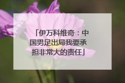 伊万科维奇：中国男足出局我要承担非常大的责任