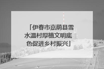 伊春市嘉荫县雪水温村厚植文明底色促进乡村振兴