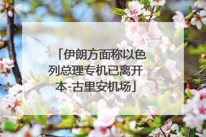 伊朗方面称以色列总理专机已离开本-古里安机场