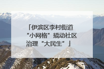 伊滨区李村街道 “小网格”撬动社区治理“大民生”