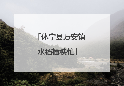 休宁县万安镇水稻插秧忙