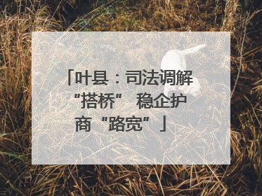 叶县：司法调解“搭桥” 稳企护商“路宽”