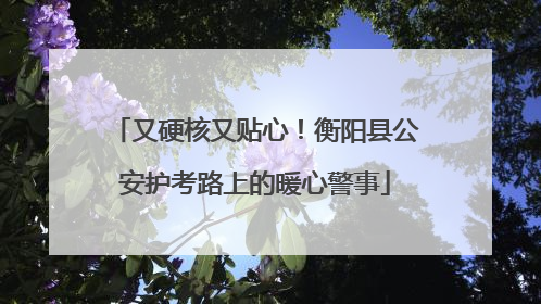 又硬核又贴心！衡阳县公安护考路上的暖心警事