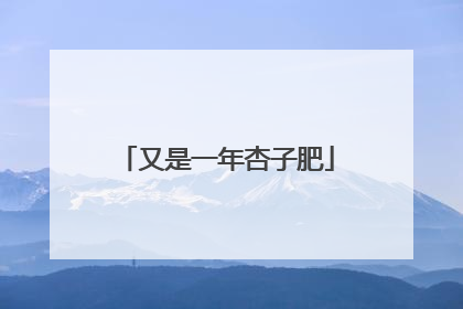 又是一年杏子肥