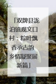 双牌县泷泊镇观文口村：粽叶飘香承古韵 乡情凝聚展新篇