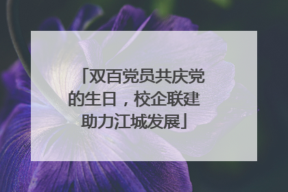 双百党员共庆党的生日，校企联建助力江城发展
