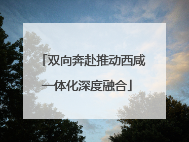双向奔赴推动西咸一体化深度融合