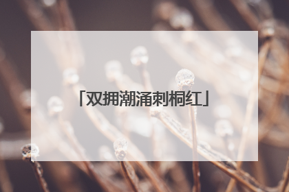 双拥潮涌刺桐红
