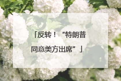 反转！“特朗普同意美方出席”