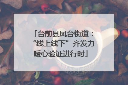 台前县凤台街道：“线上线下”齐发力 暖心验证进行时